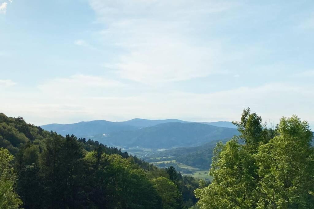 Mitten Im Bayerischen Wald + Schonblick + Urig + Netflix Schöfweg Buitenkant foto